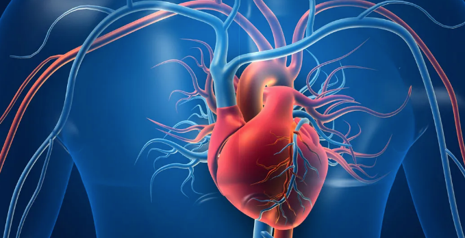 Image Source: Shutterstock